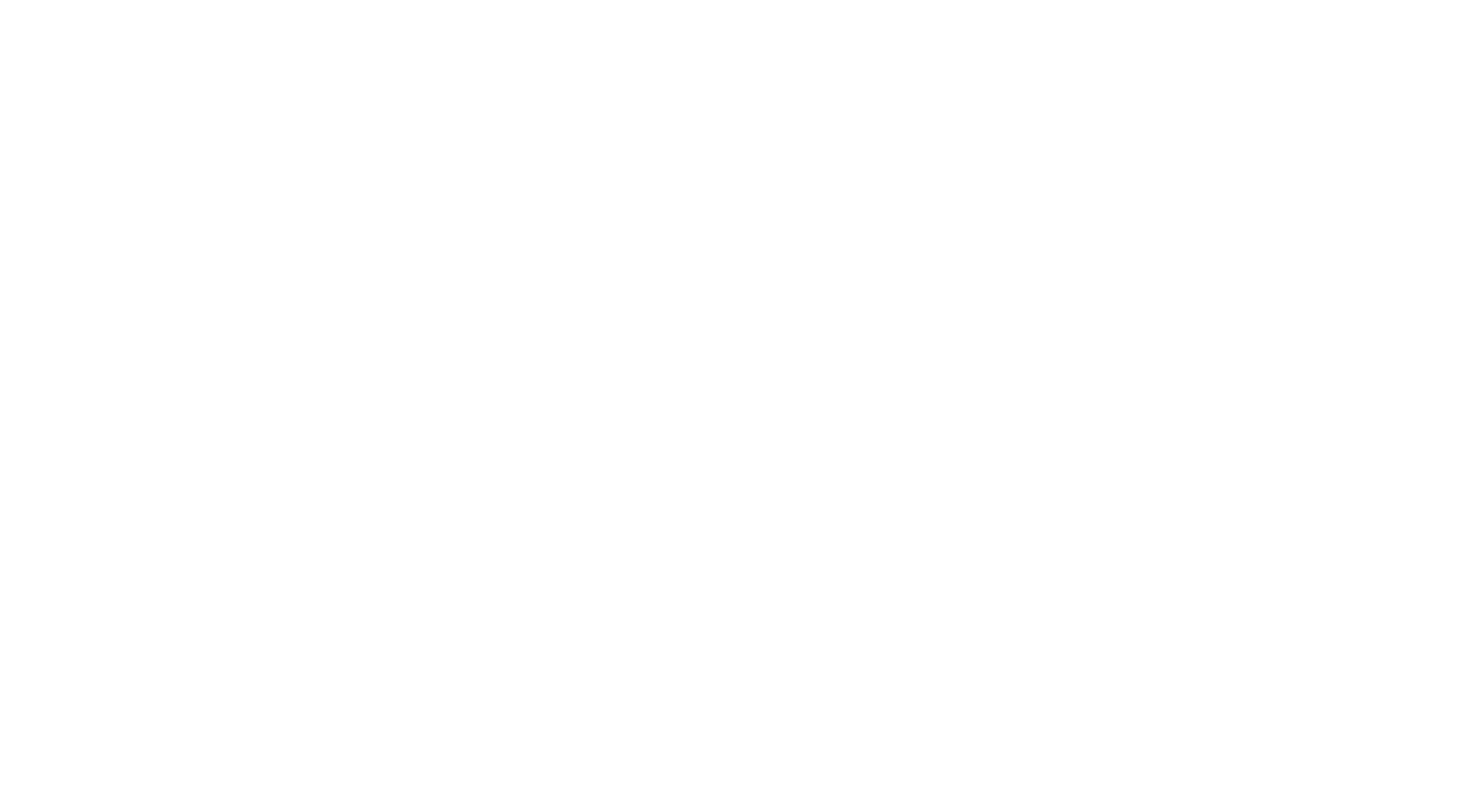 RM Cyber official logo in white horizontal form.
